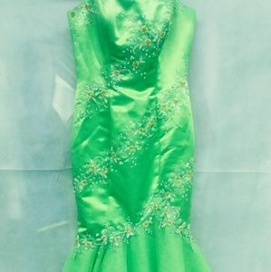 Lovely mermaid style dress